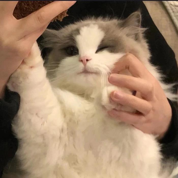 瑾儿🫧