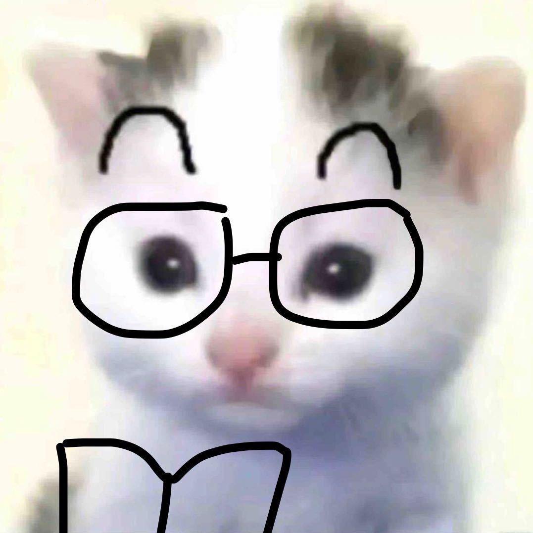 ~精灵猫