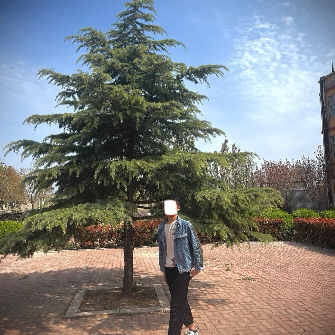 不知道什么叫晚安