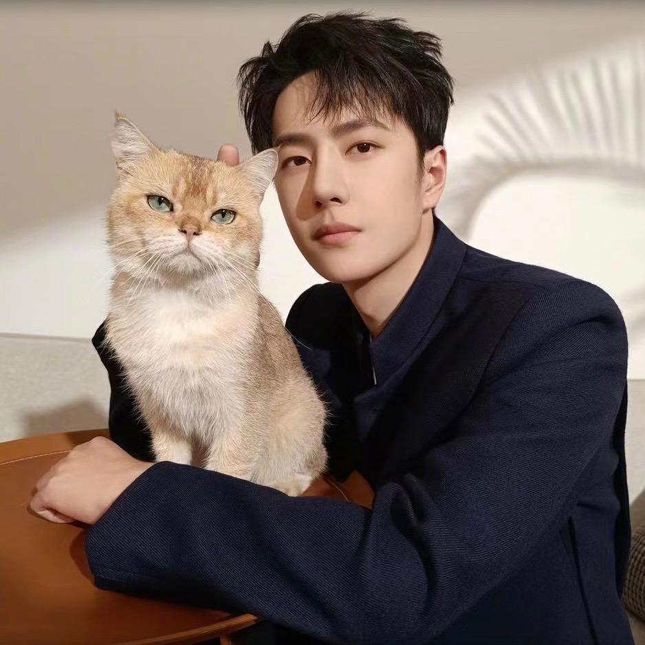 猫头💚