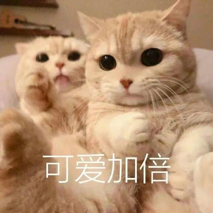 铭妖