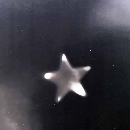 麦香鱼