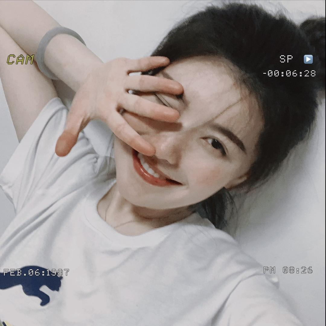 猫猫OVO