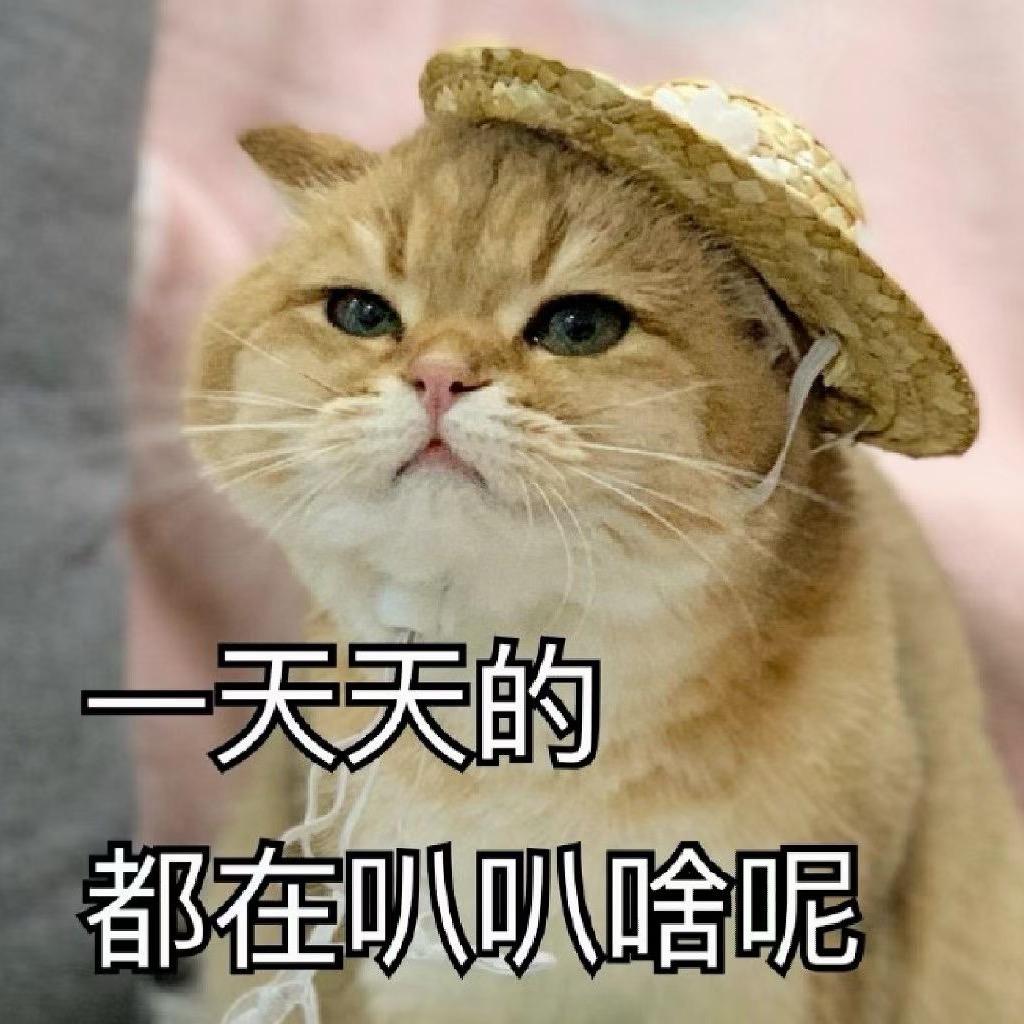 用户名44936597头像