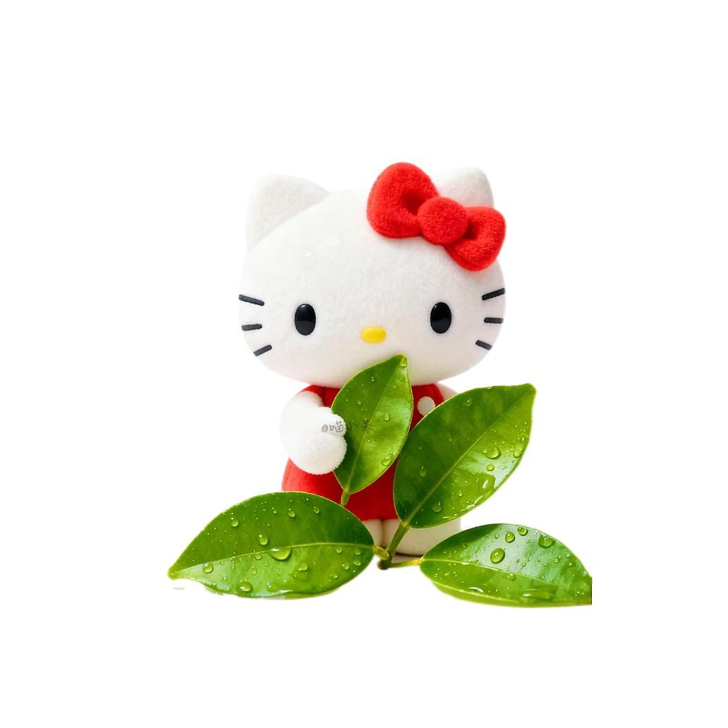 .XIAOOOO