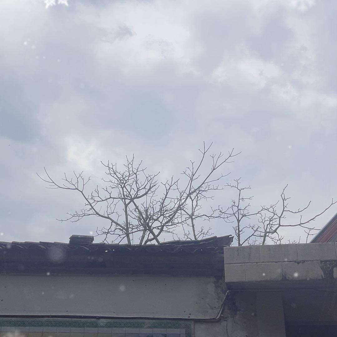 洋先生农副产品