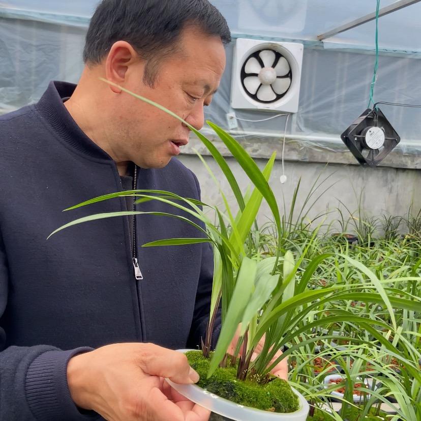 峨眉山市茂文盆景苗木花卉基地