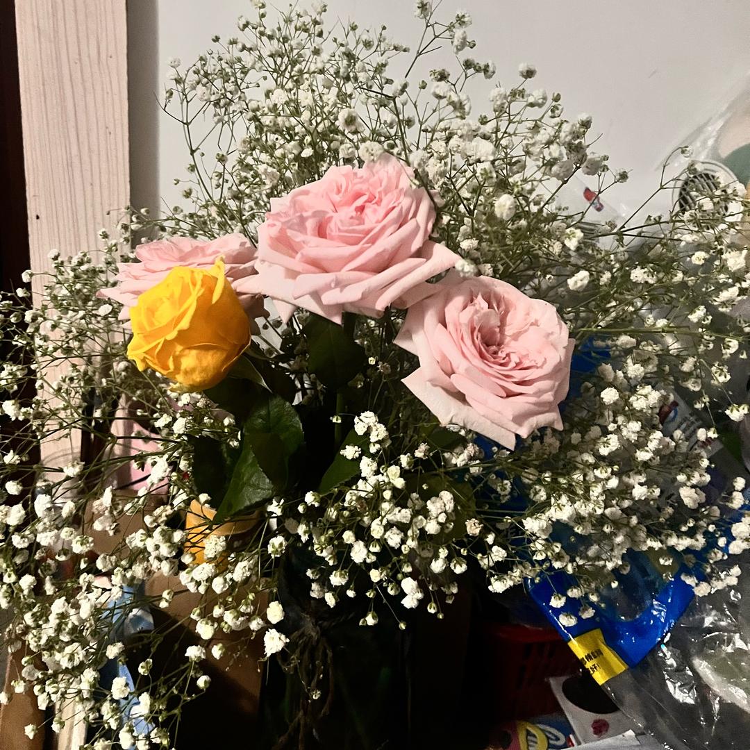 💫养你一辈子💫