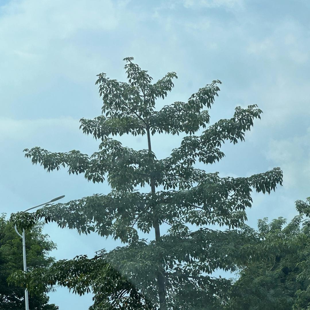 动物管理局