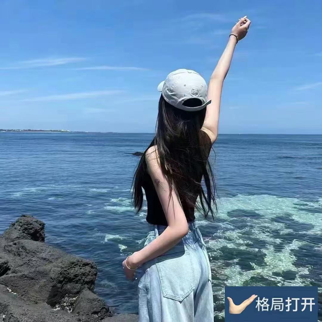 六六