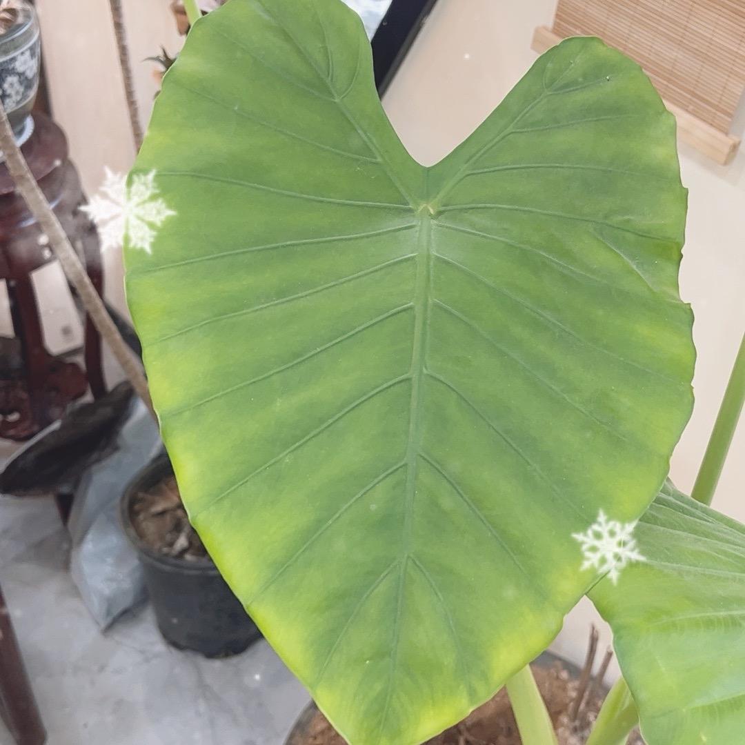 赚特一个亿💰