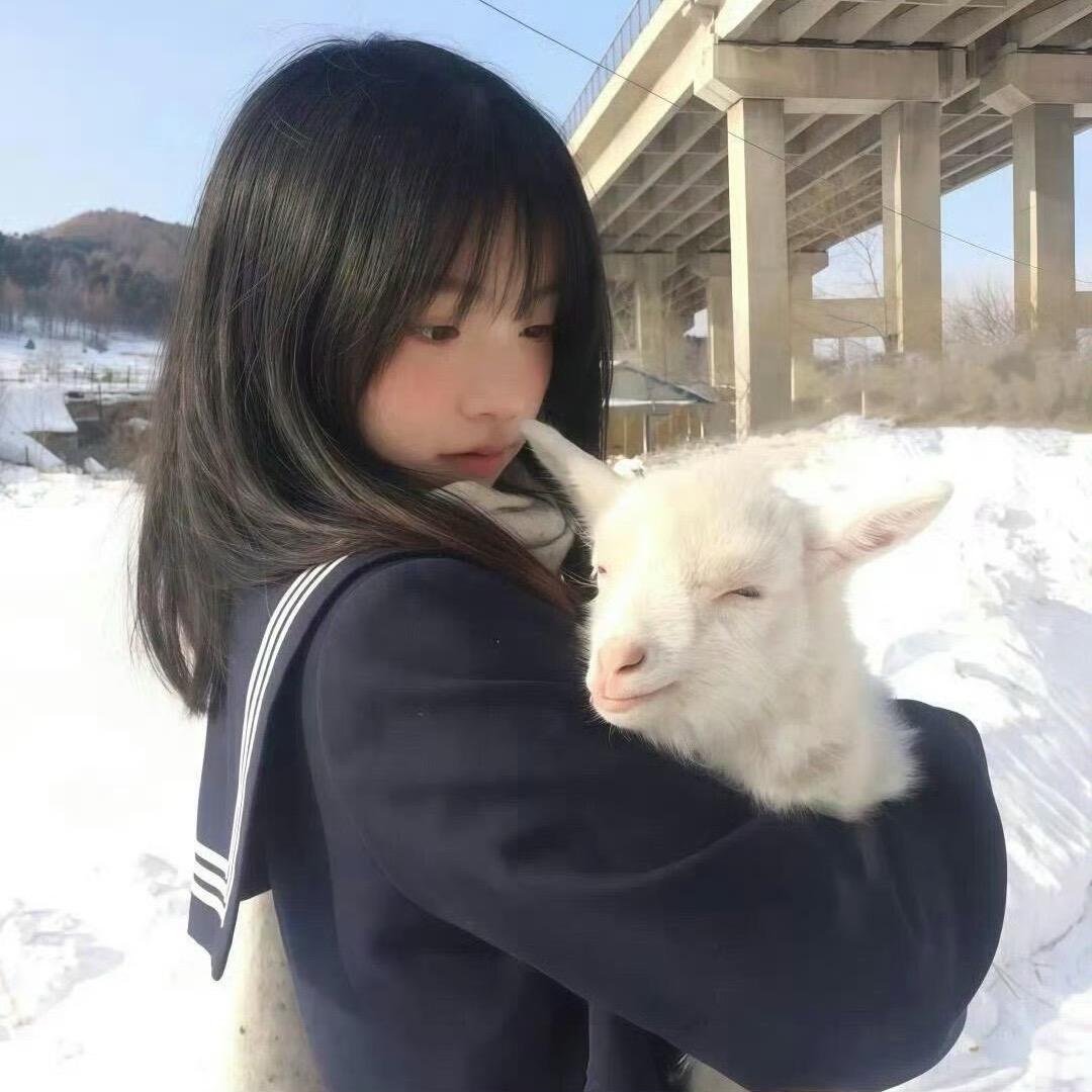 天天吃火锅