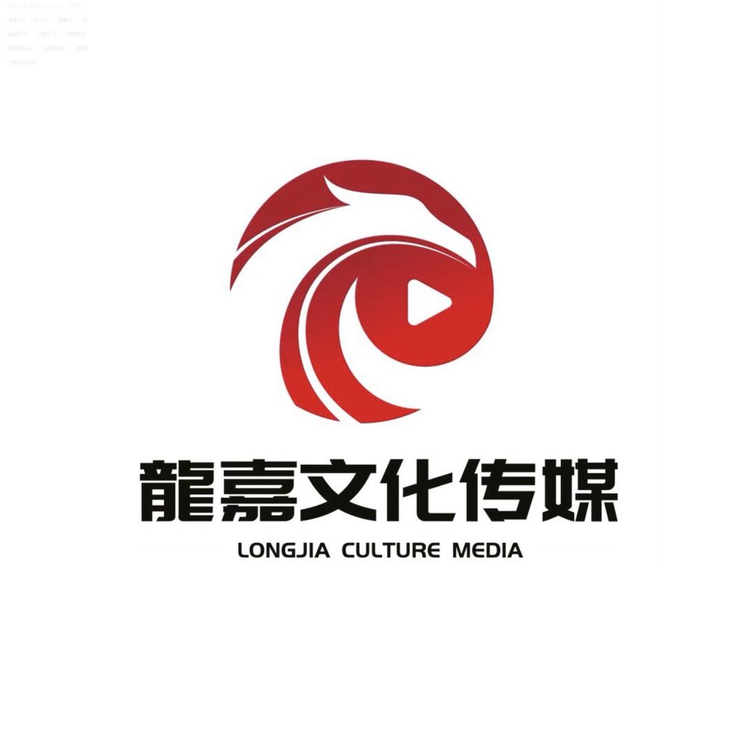 龙嘉文化传媒