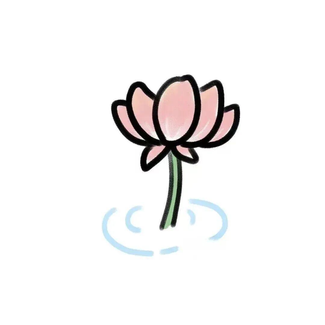 招招