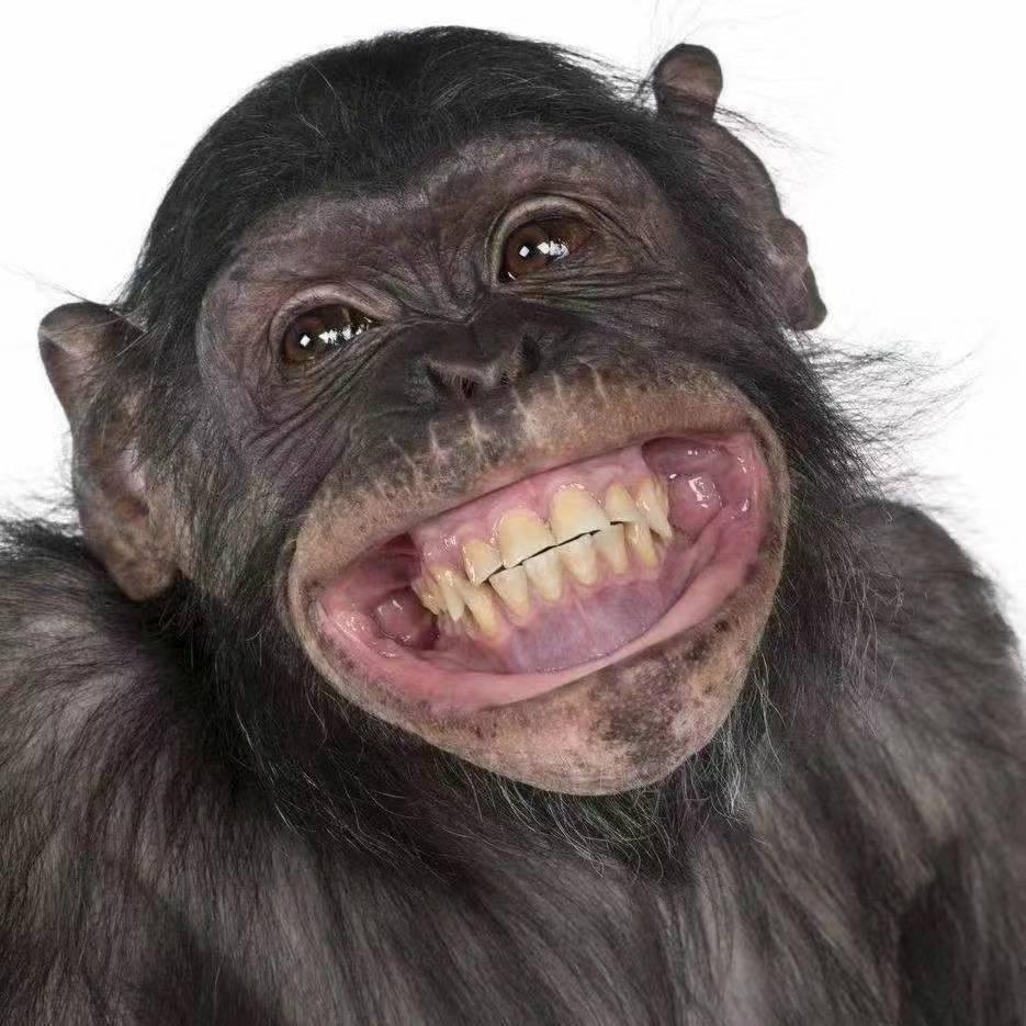 求；一份安稳！