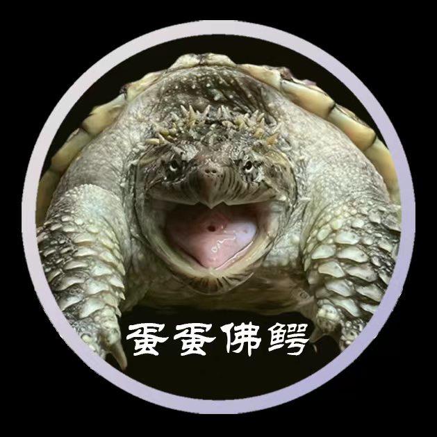 勇远龟宠