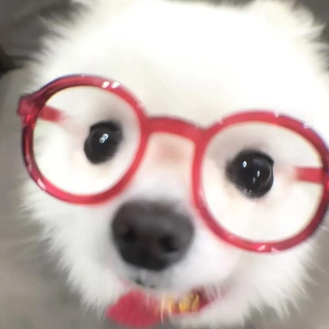 狗子洽洽