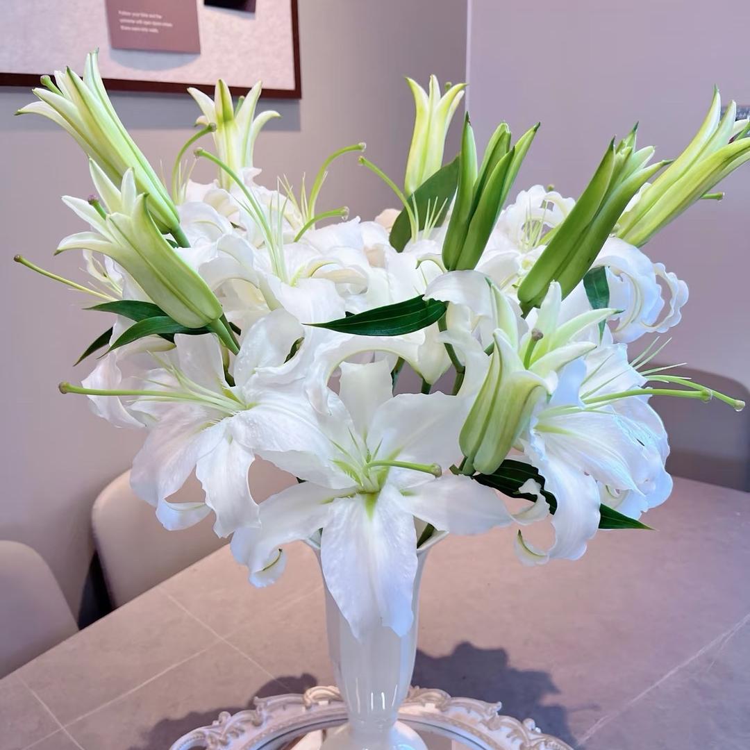 玖云花肆