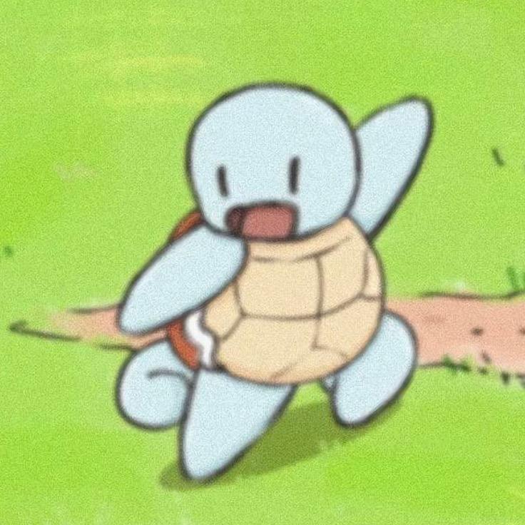 小刘的生态龟🐢缸