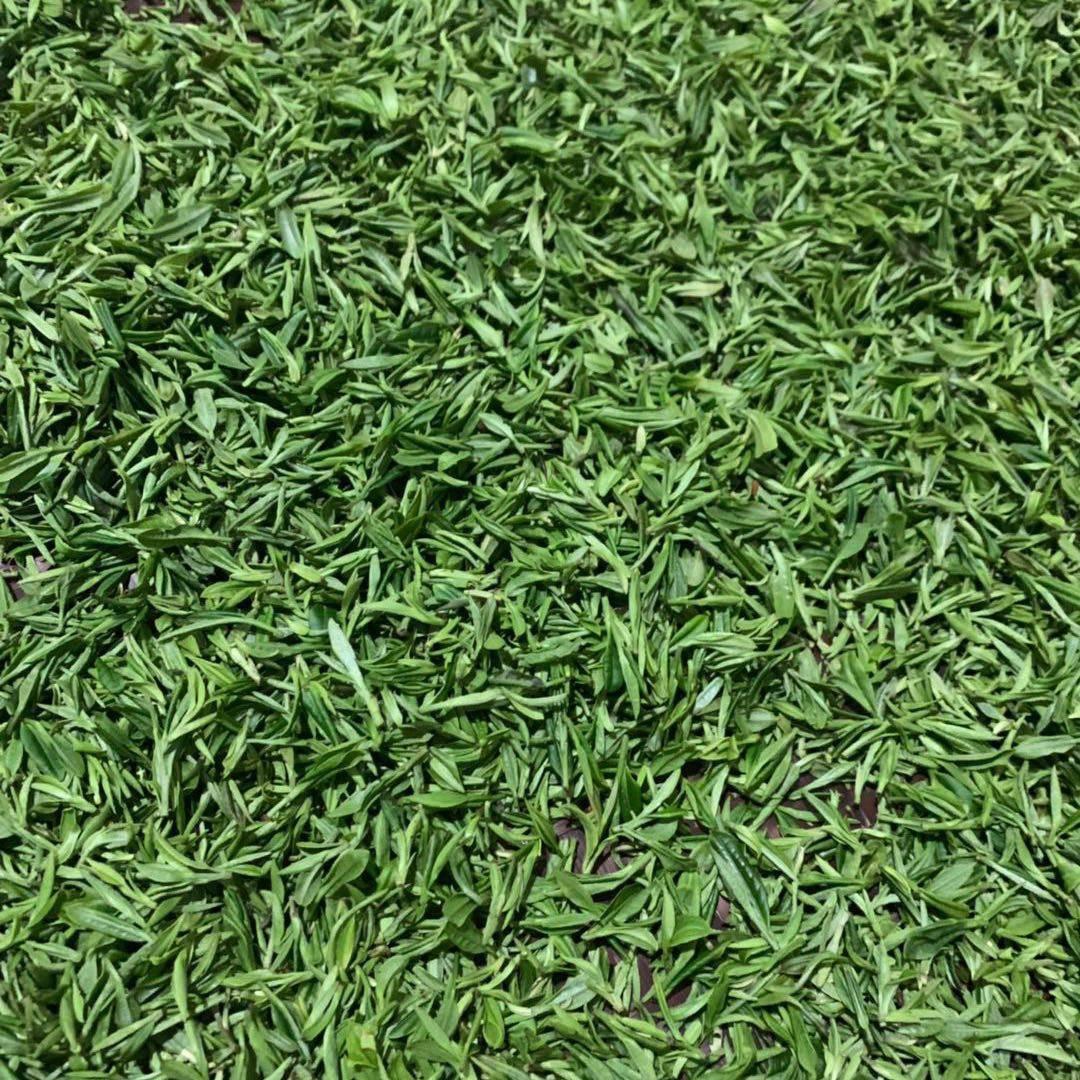 茶叶