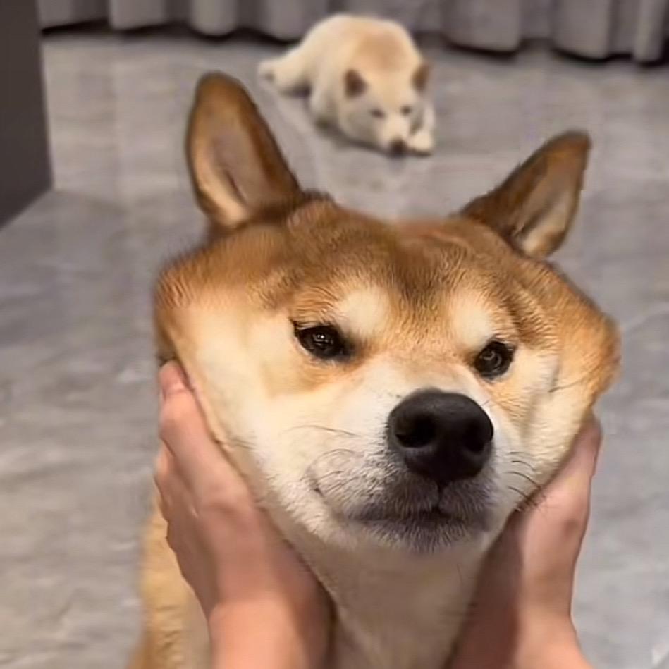 专业汽车喷漆补漆