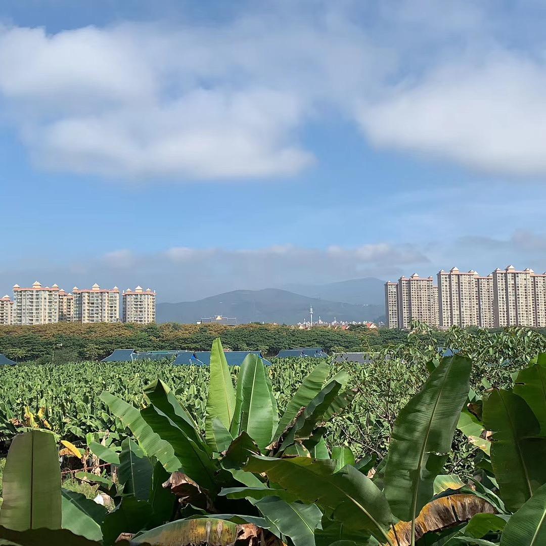 尽善尽美