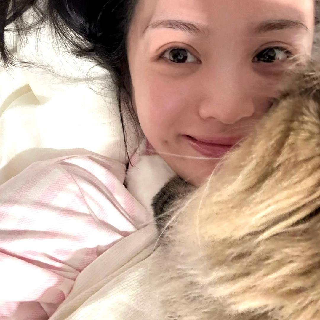 小油菠萝（去过礐嶨首场和收官版）