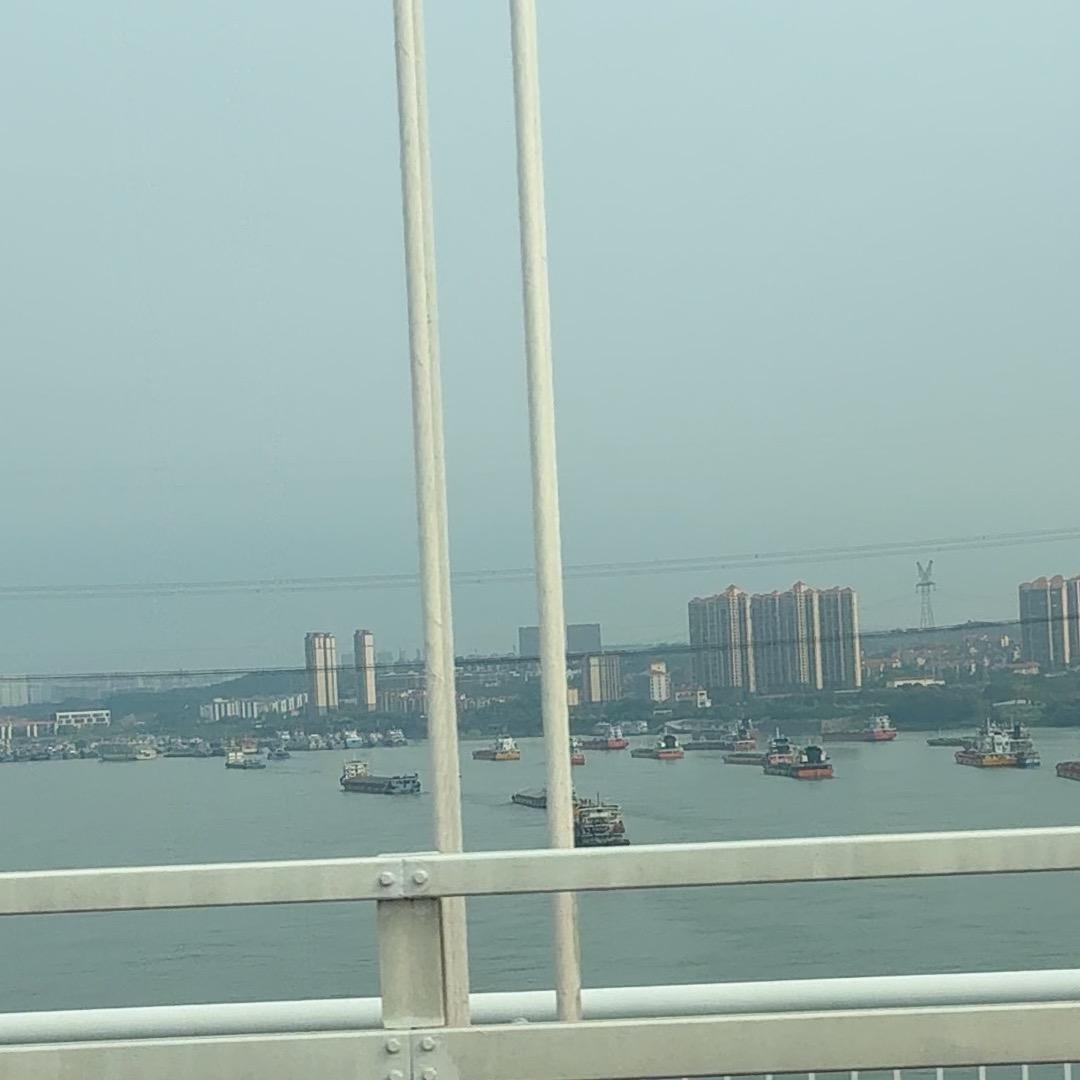 沐白