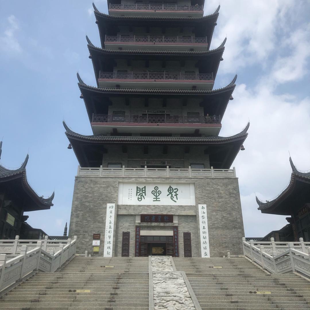遂溪虎鲨