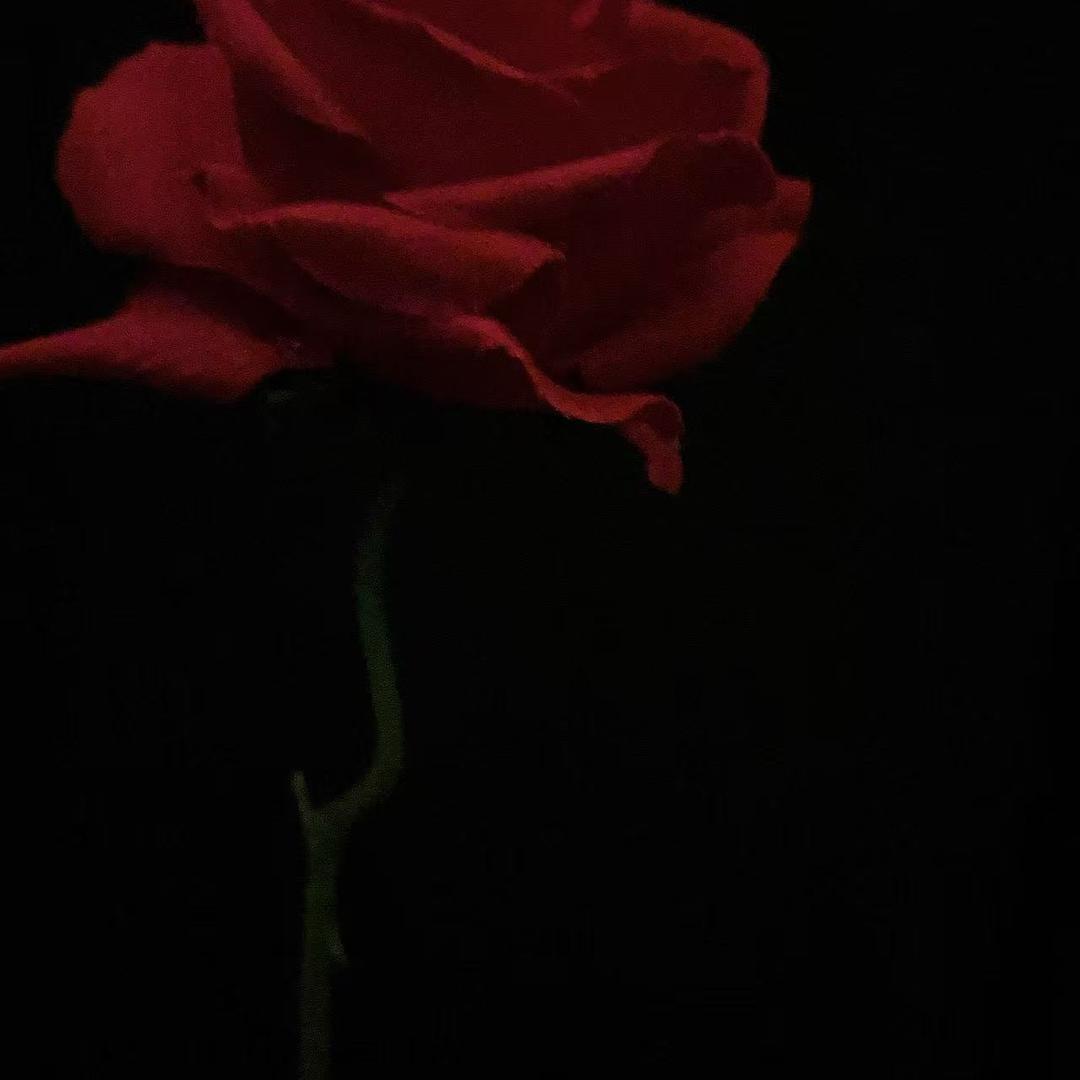无敌选手才哥