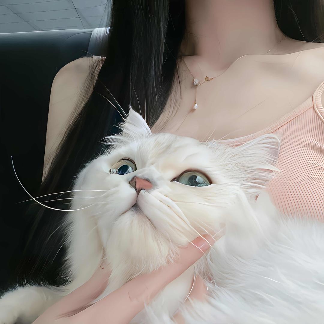汐木♩