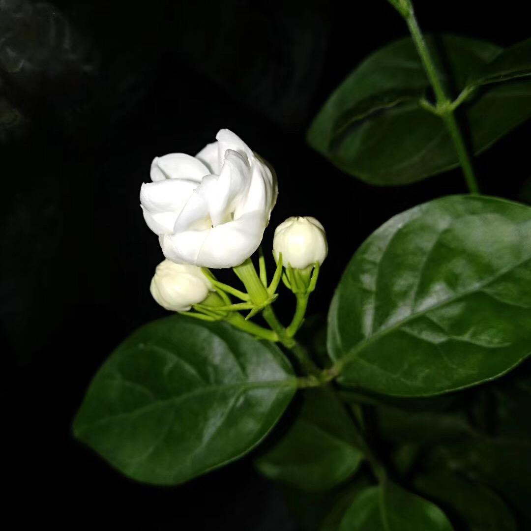 不忘初心，方得始终！