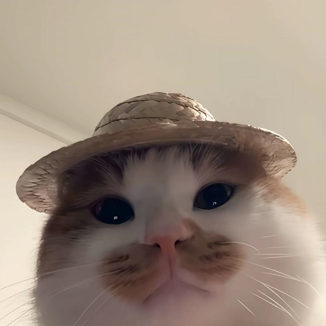狗蛋