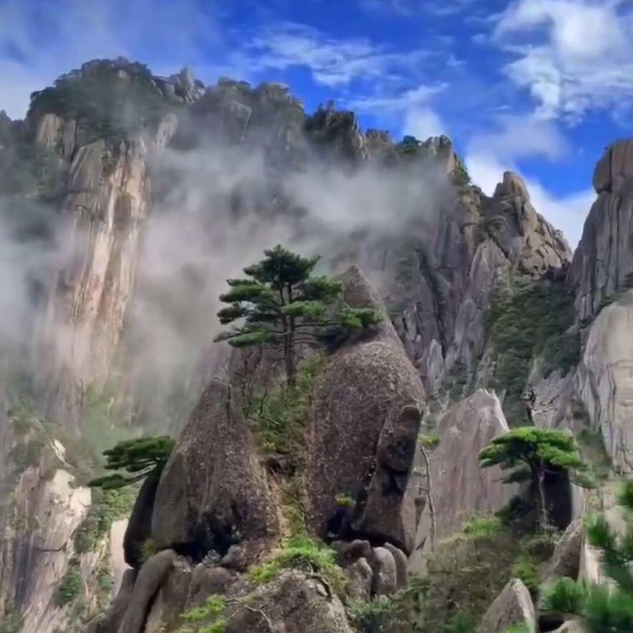 青山绿水…