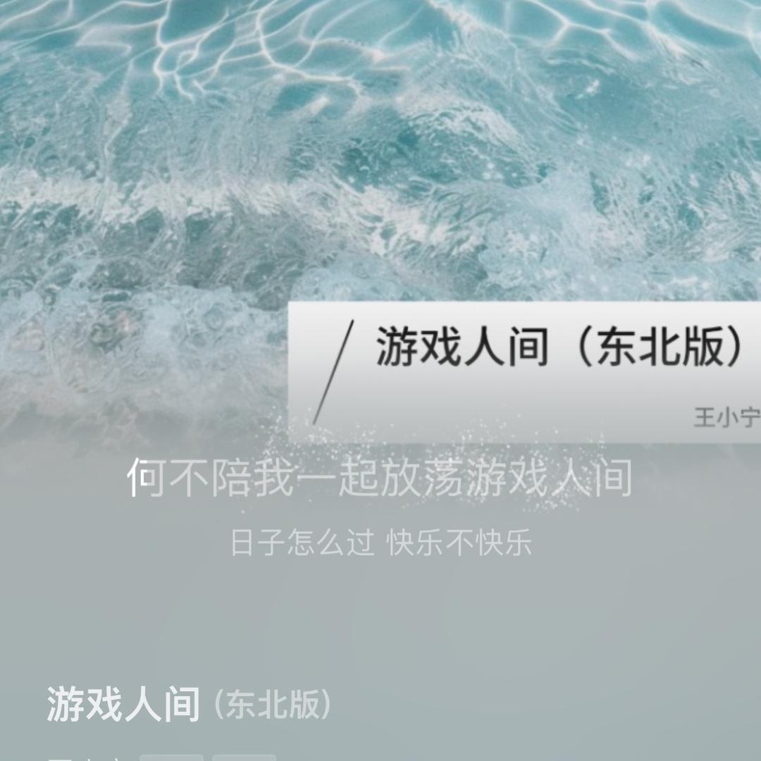 💕玫瑰之影🦋