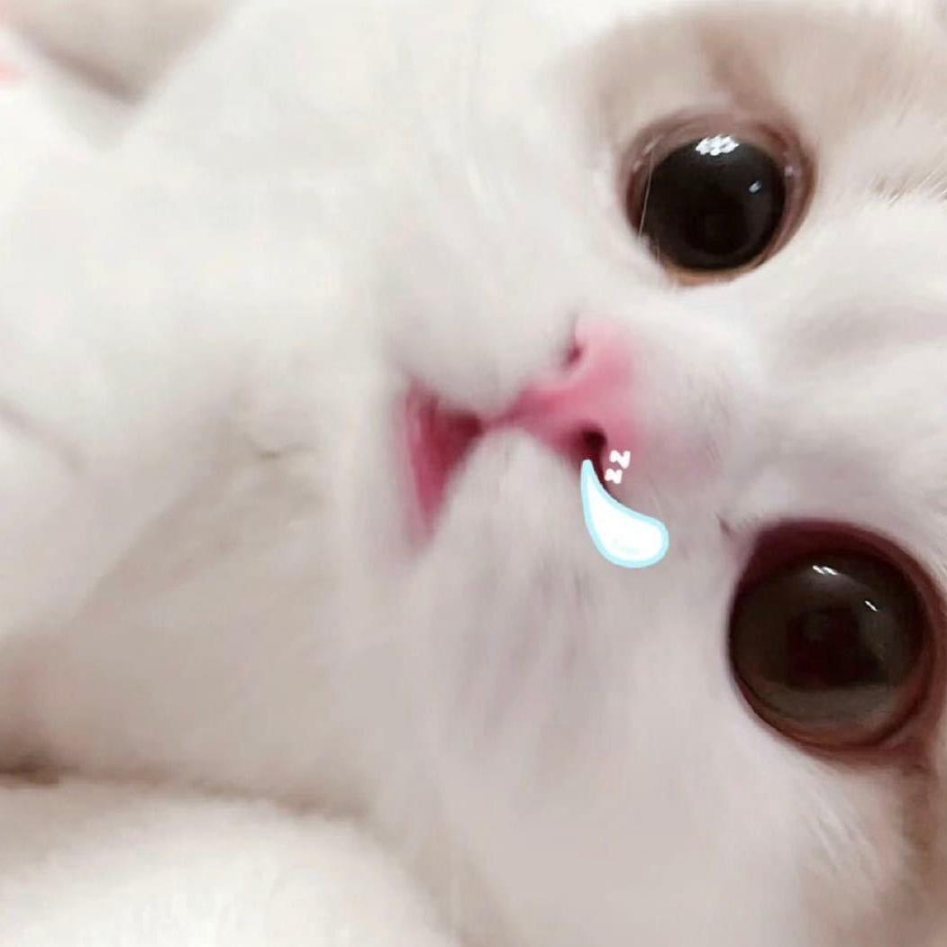 Angela王诗龄@抖音