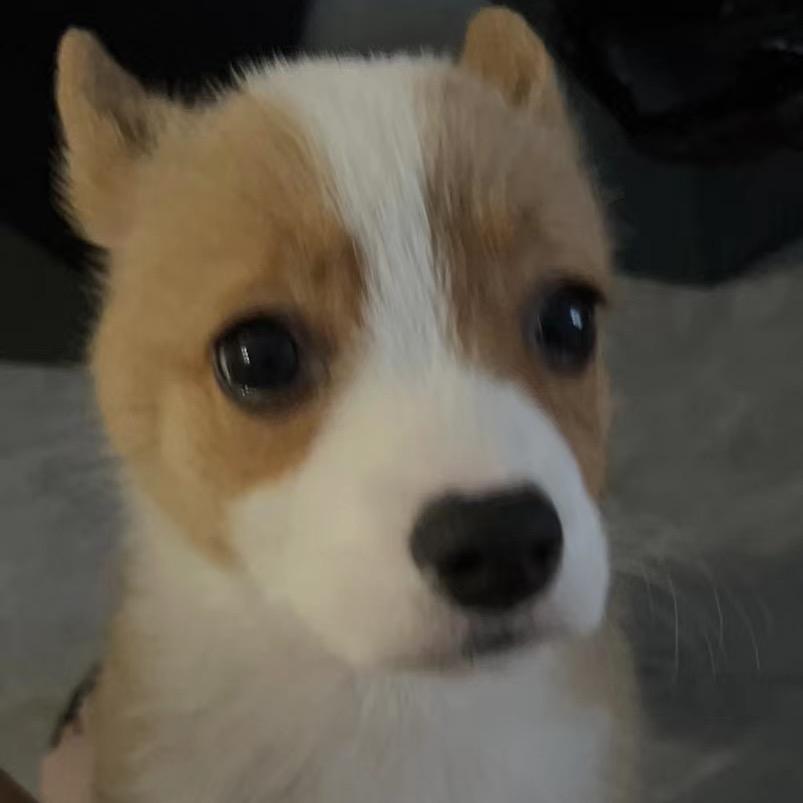 离谱妈、孃孃、老汉儿给离谱开门，离谱到家