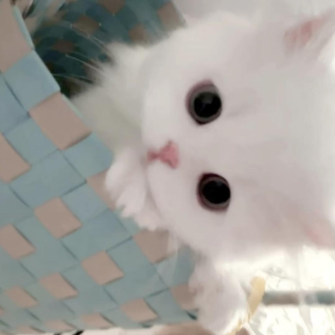 一场梦