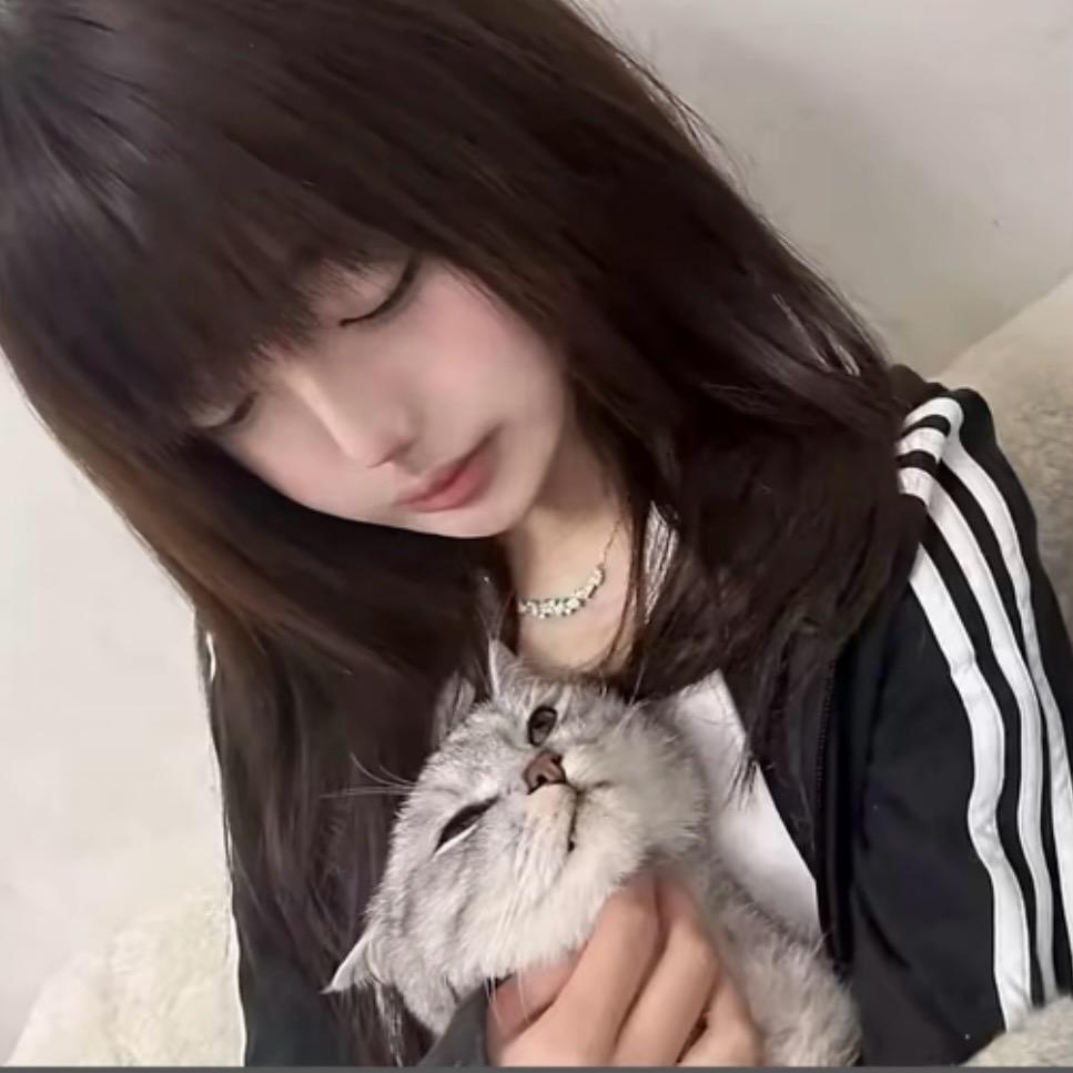 悲伤小猫咪🐱