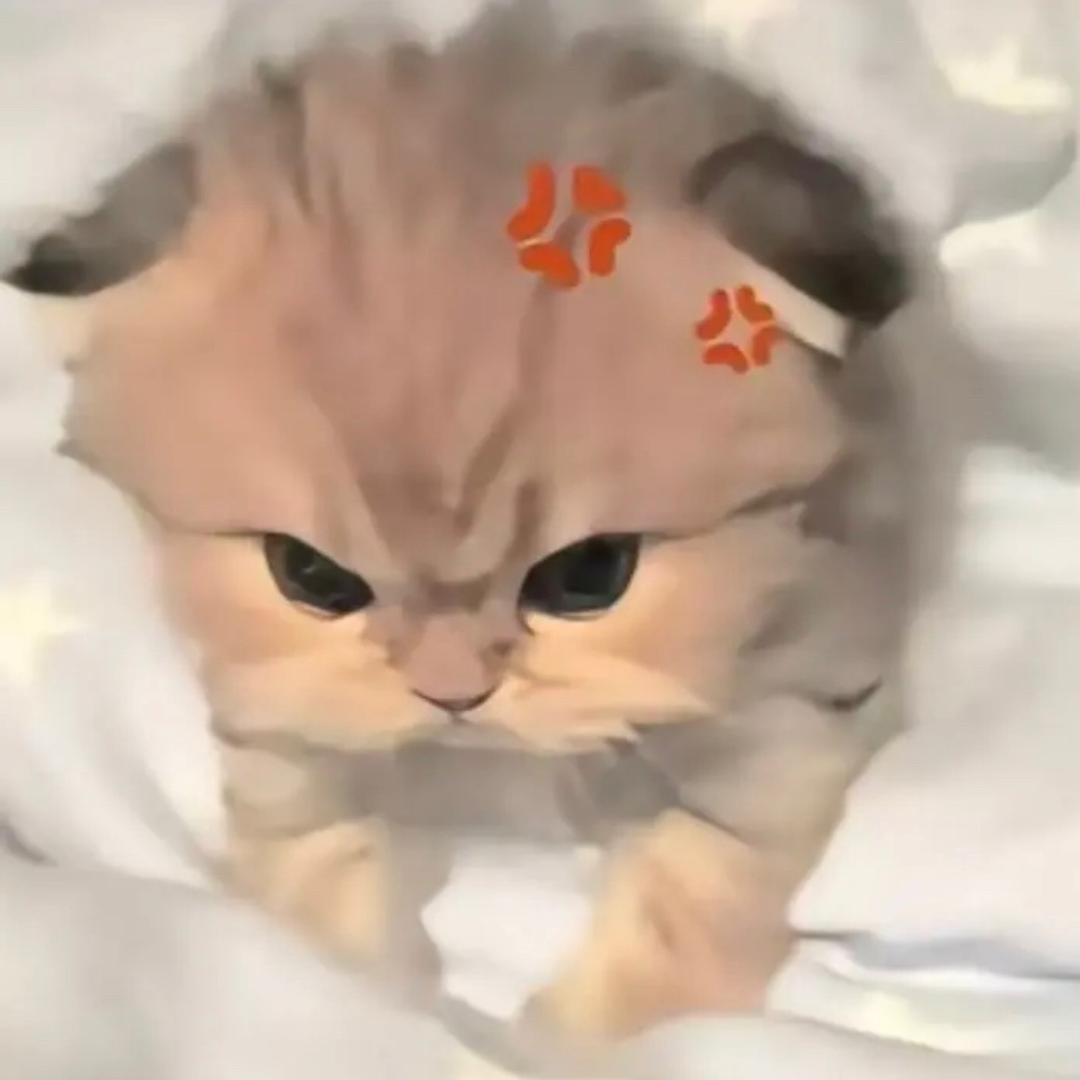 抓住猫尾巴