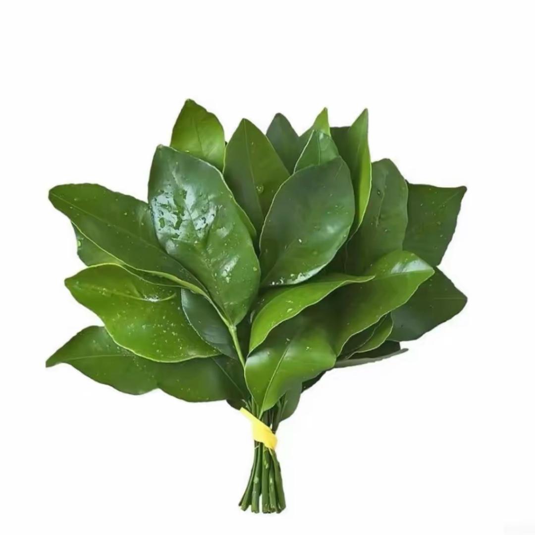 小鱼