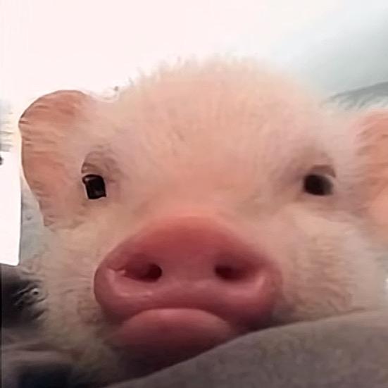 丨              丨