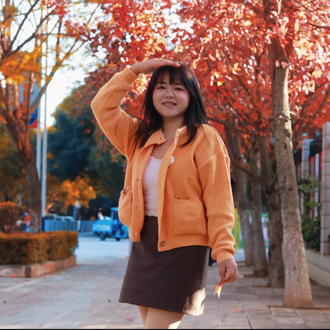 一只小白鸽🕊️
