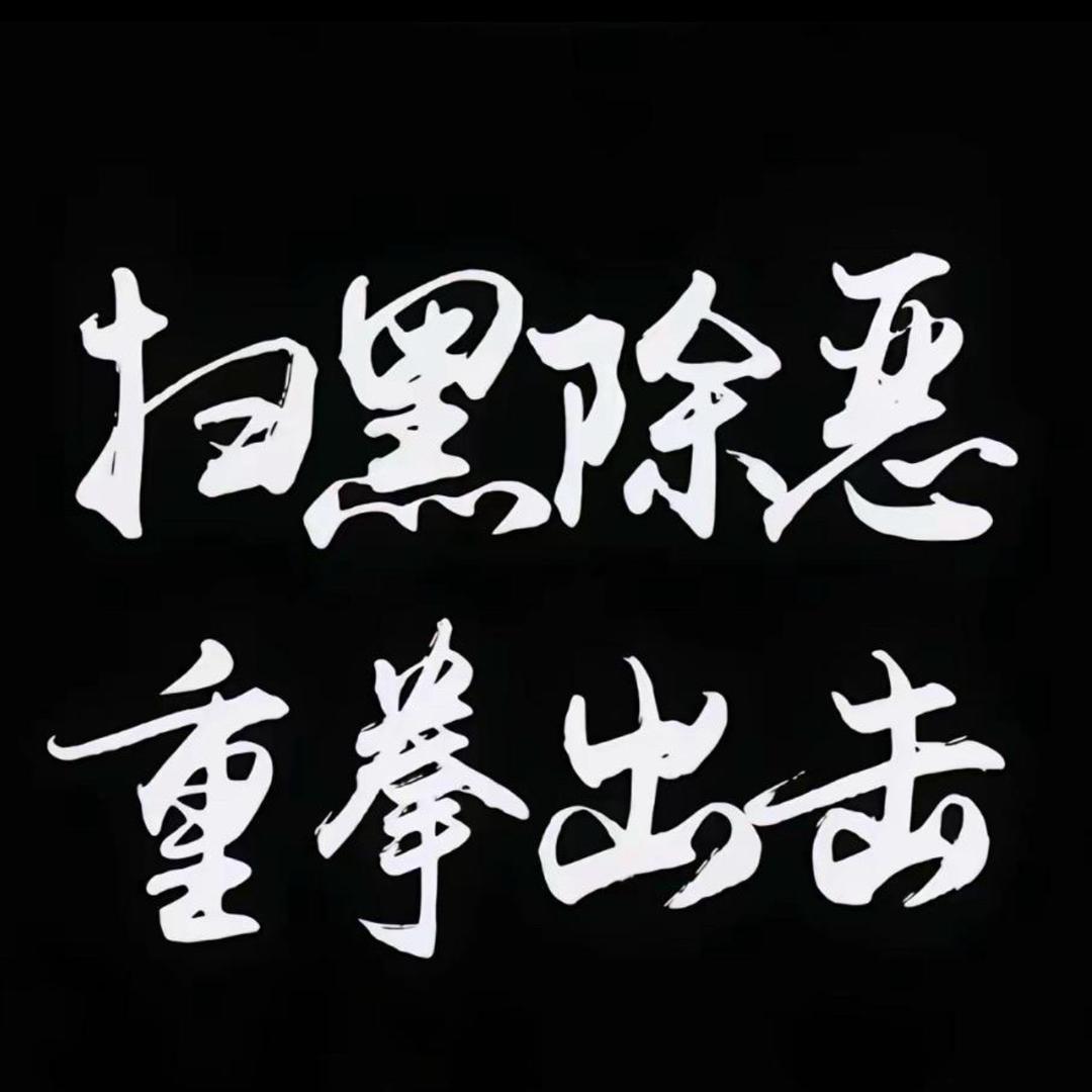 正义出击-专业打假