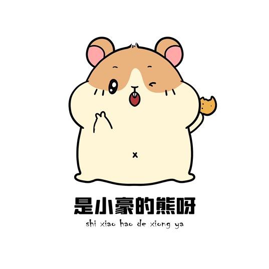 小豪的熊呀