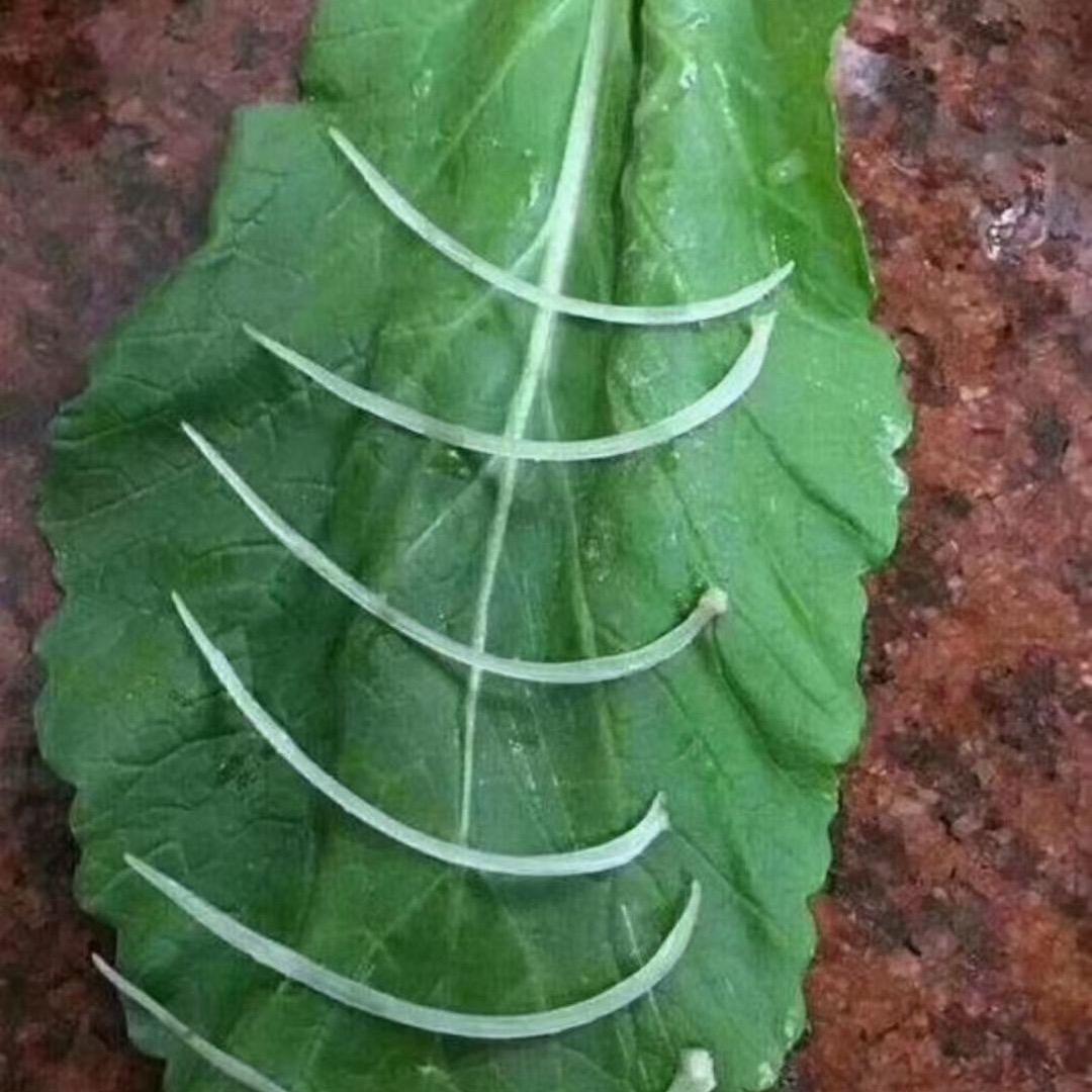 拾壹就是十一也是11