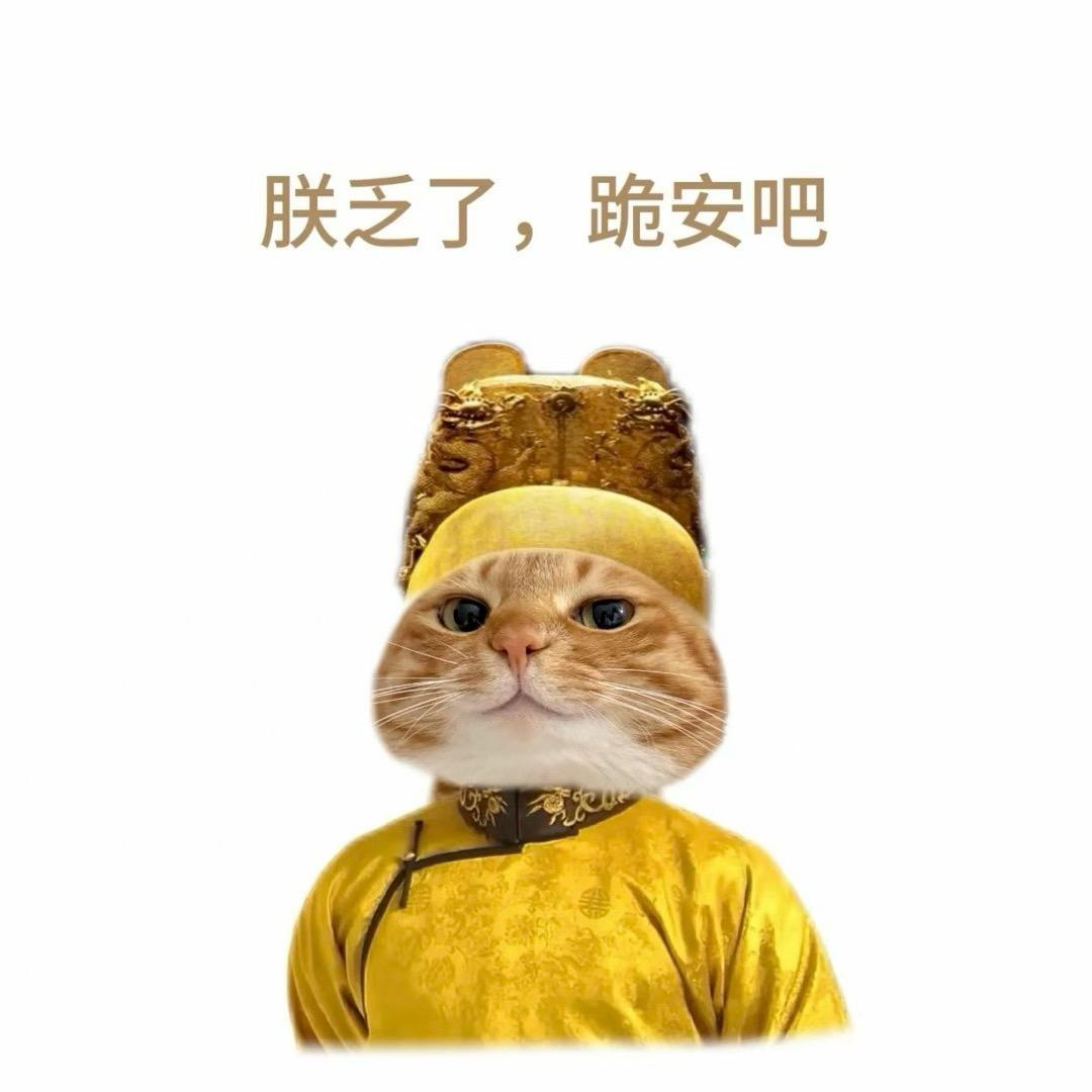 预审（和平精英）