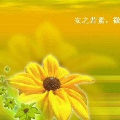 泡泡龙&