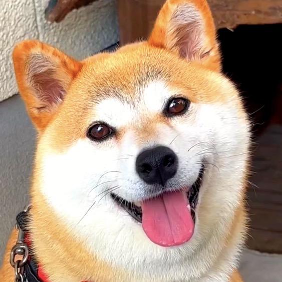 嗨皮视界