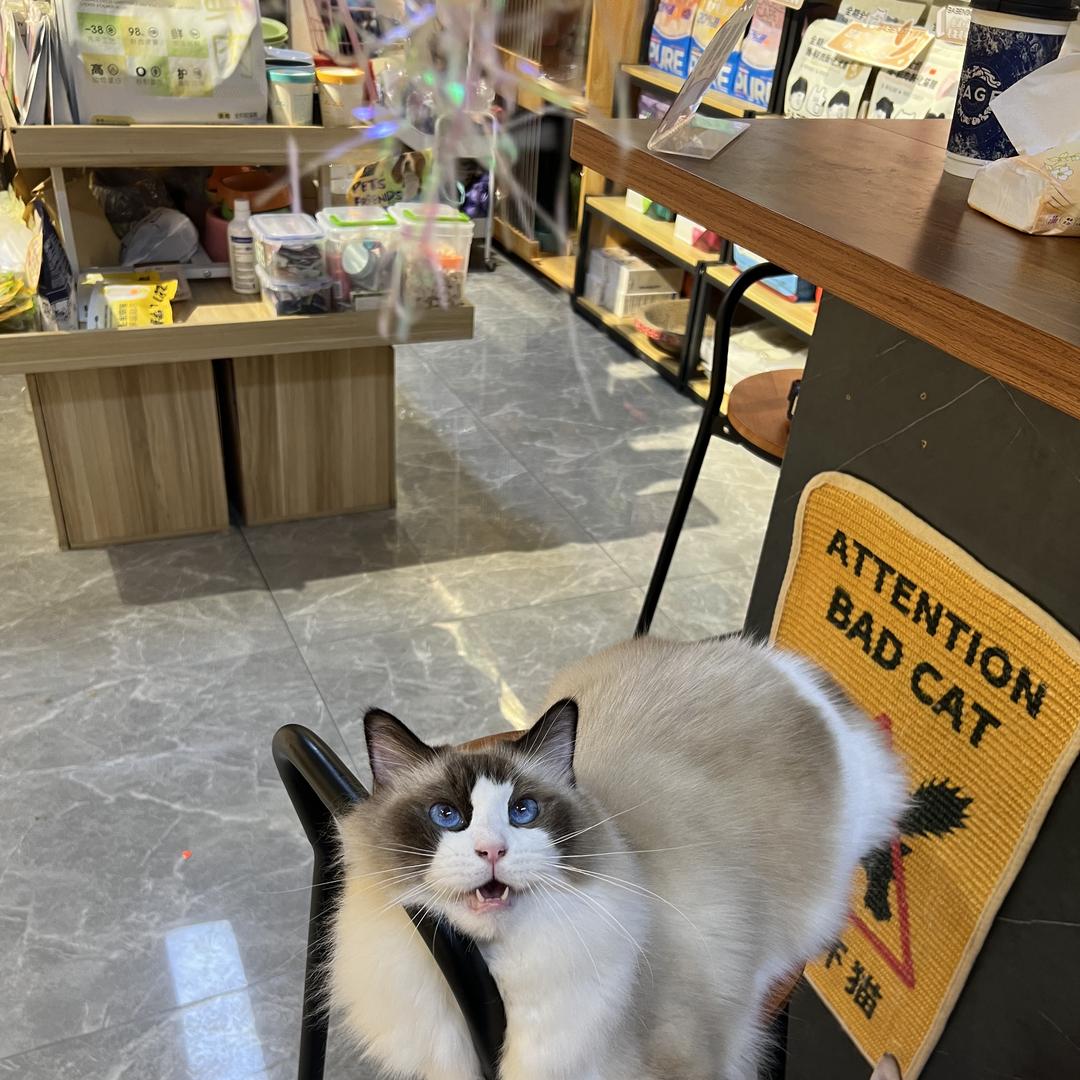 好命姐宠物小铺